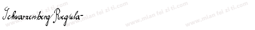 Schwarzenberg Regula字体转换
